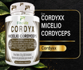 🍑 Cordyx Pastillas Masticables