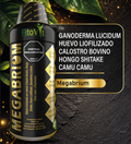 🍄 1000 ml - FitoVit Megabrium Hongos Funcionales y Calostro